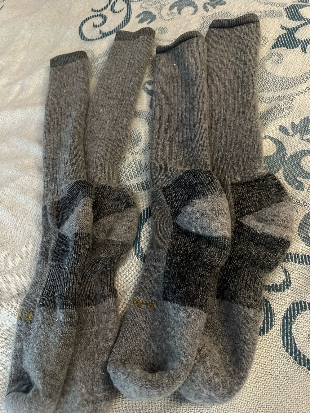 Cabela's Men's Grey Crew Hiking Socks - Dark Grey Accents